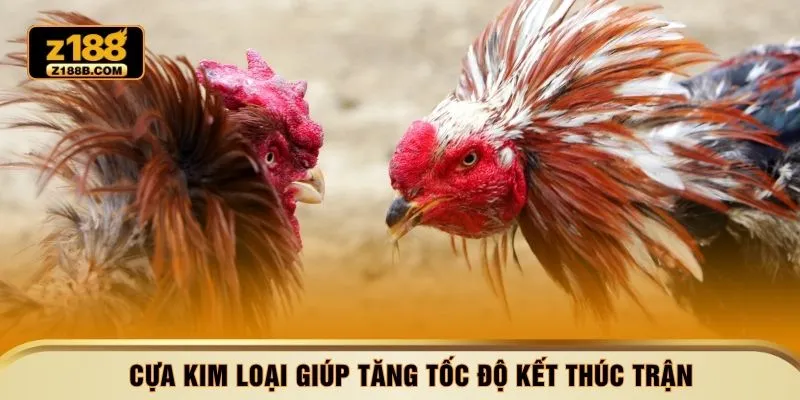 Cựa kim loại giúp tăng tốc độ kết thúc trận