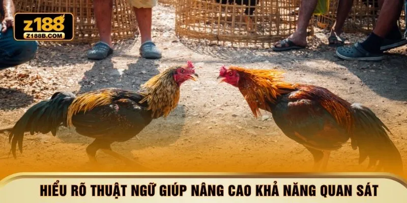 Hiểu rõ thuật ngữ giúp nâng cao khả năng quan sát