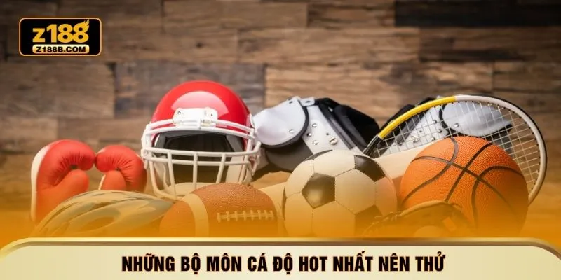 Những bộ môn cá độ hot nhất nên thử