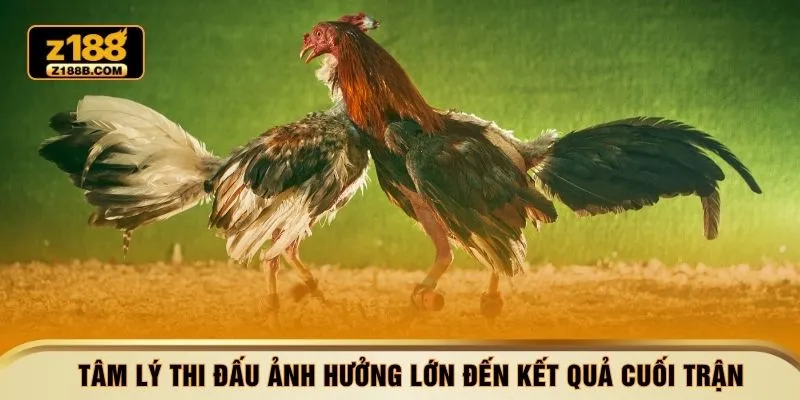 Tâm lý thi đấu ảnh hưởng lớn đến kết quả cuối trận