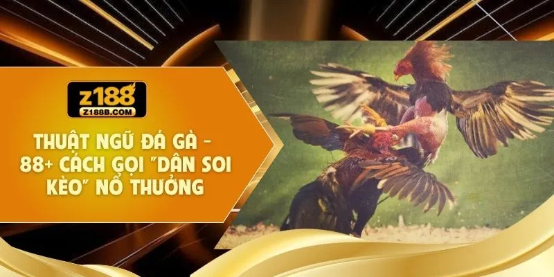 Thuật Ngữ Đá Gà - 88+ Cách Gọi "Dân Soi Kèo" Nổ Thưởng