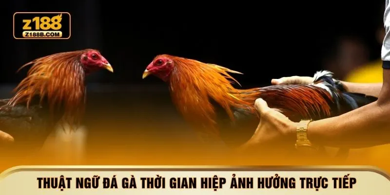 Thuật ngữ đá gà thời gian hiệp ảnh hưởng trực tiếp