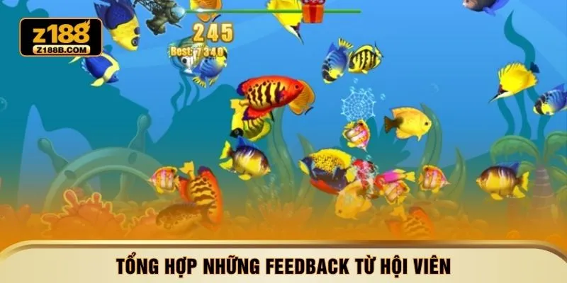 Tổng hợp những feedback từ hội viên